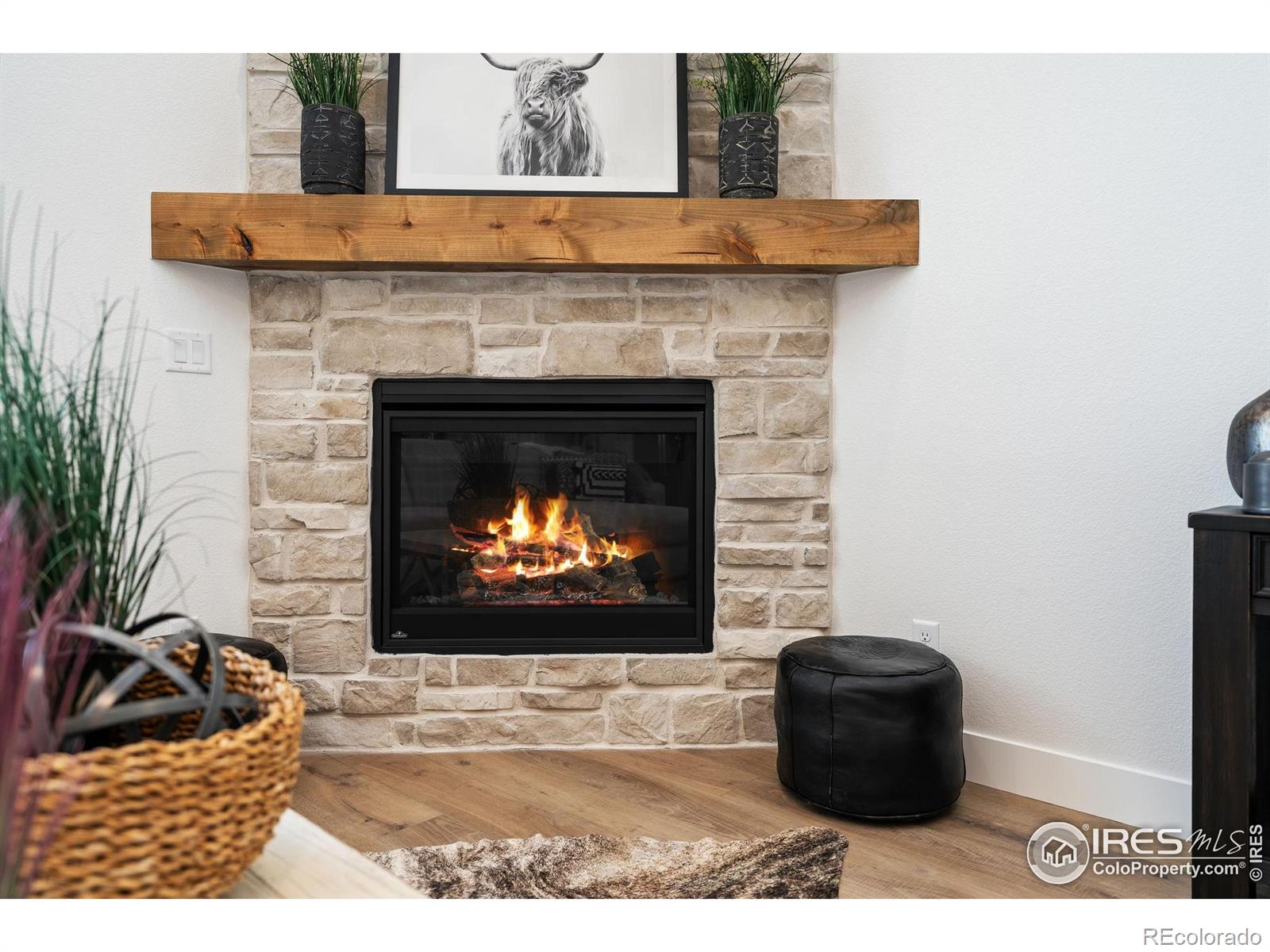 MLS Image #11 for 838  loess lane,windsor, Colorado