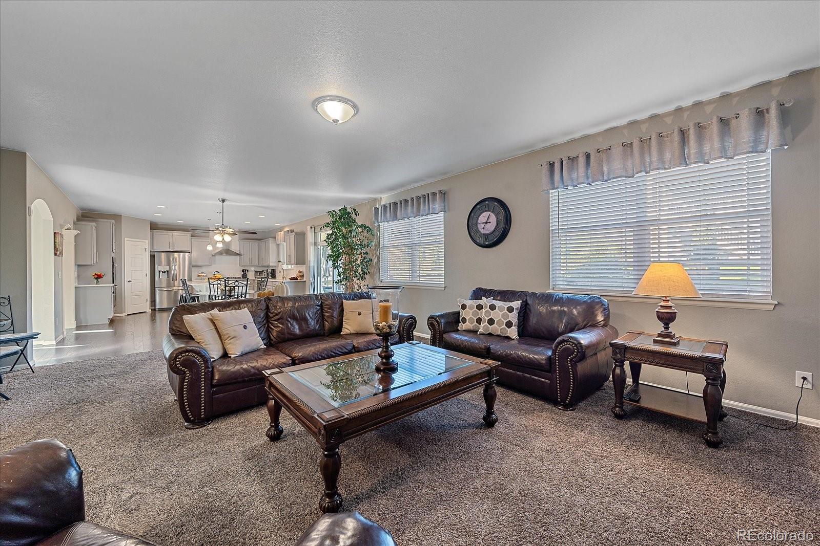 MLS Image #16 for 8733  crestone street,arvada, Colorado