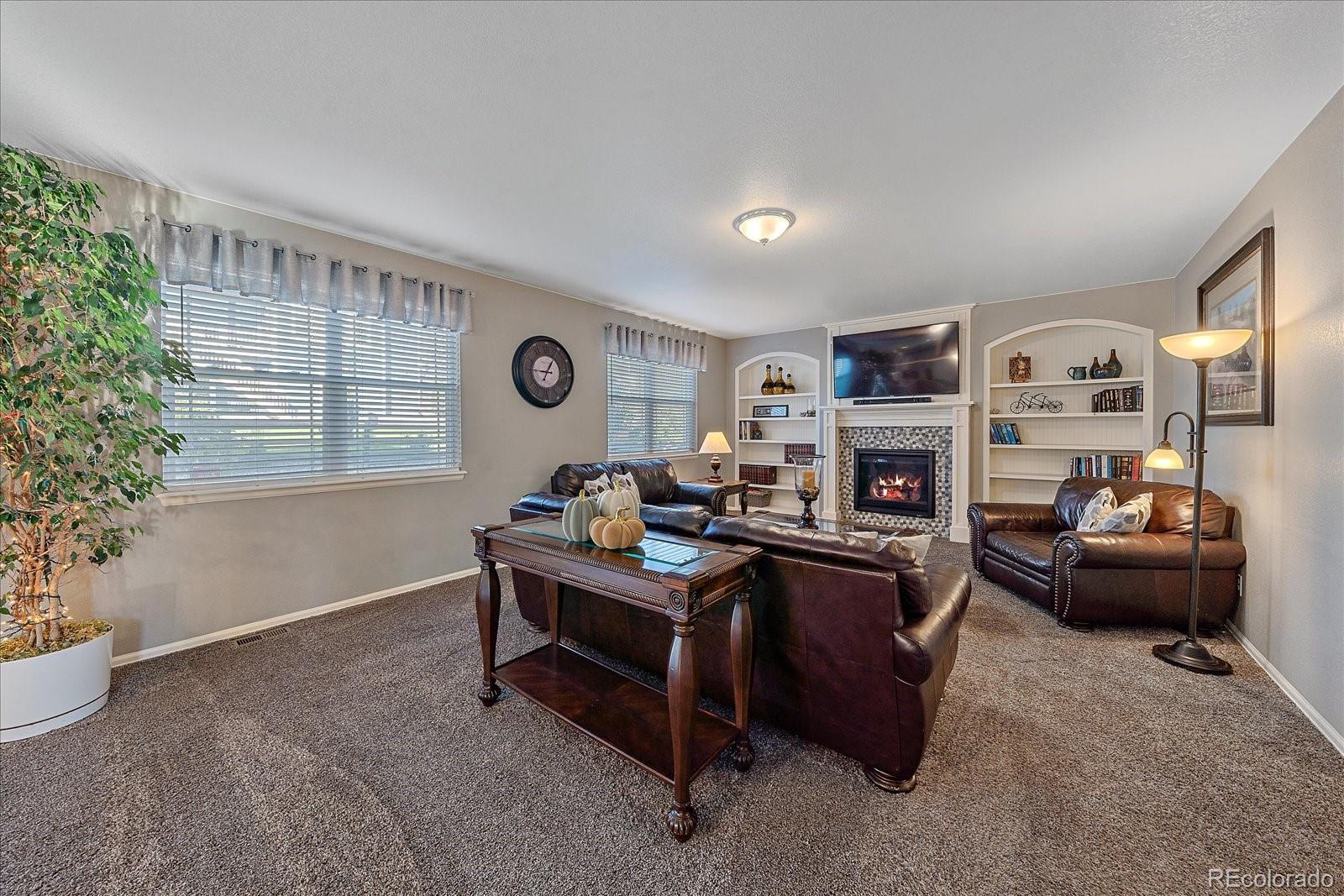 MLS Image #17 for 8733  crestone street,arvada, Colorado