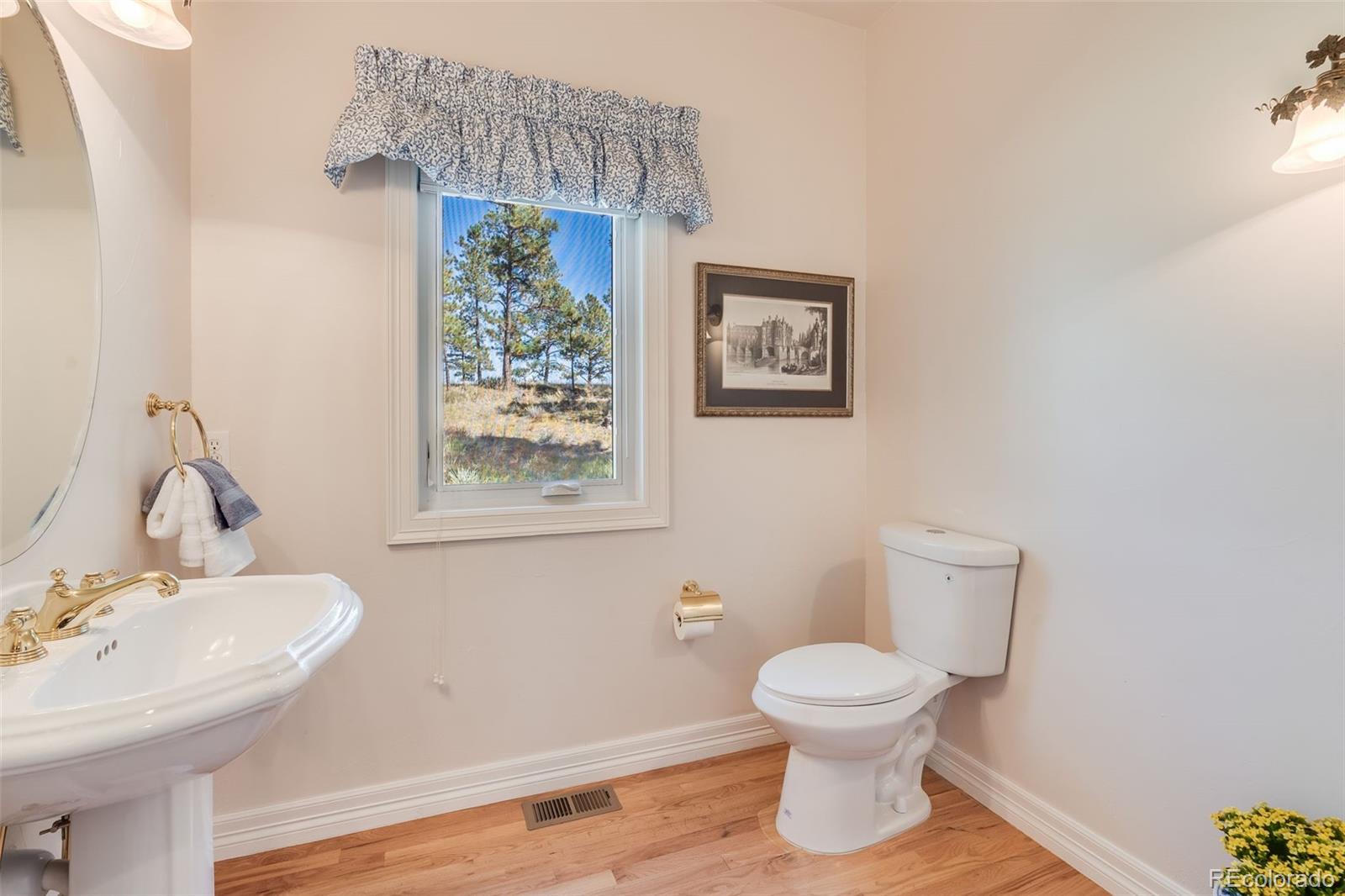 MLS Image #14 for 5475  golden currant way,parker, Colorado