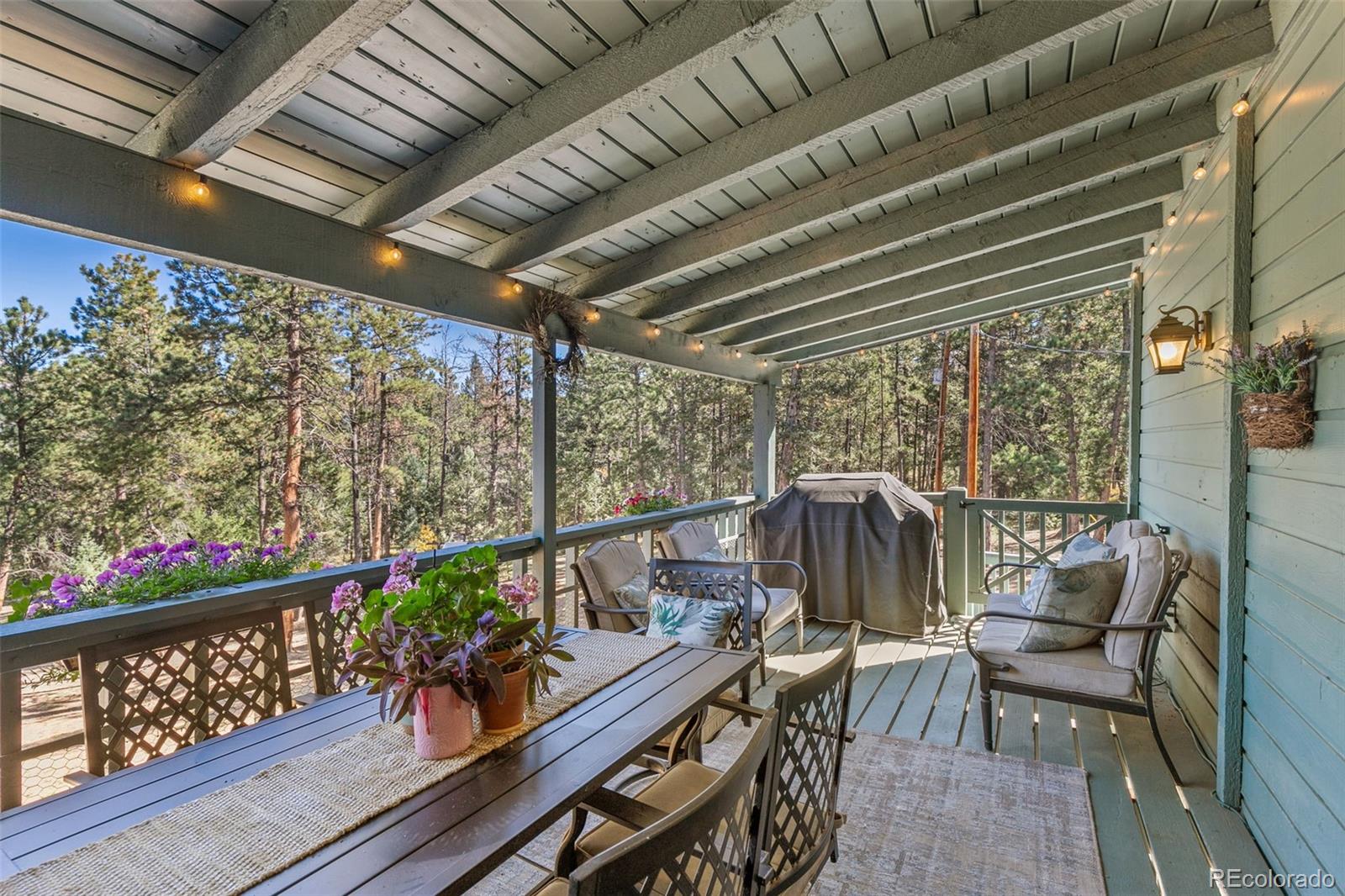 MLS Image #26 for 3021  nova road ,pine, Colorado