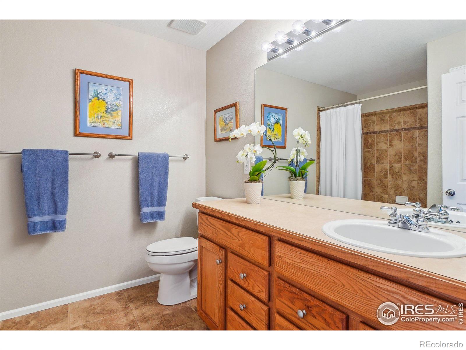 MLS Image #18 for 5238  harvest moon way,fort collins, Colorado