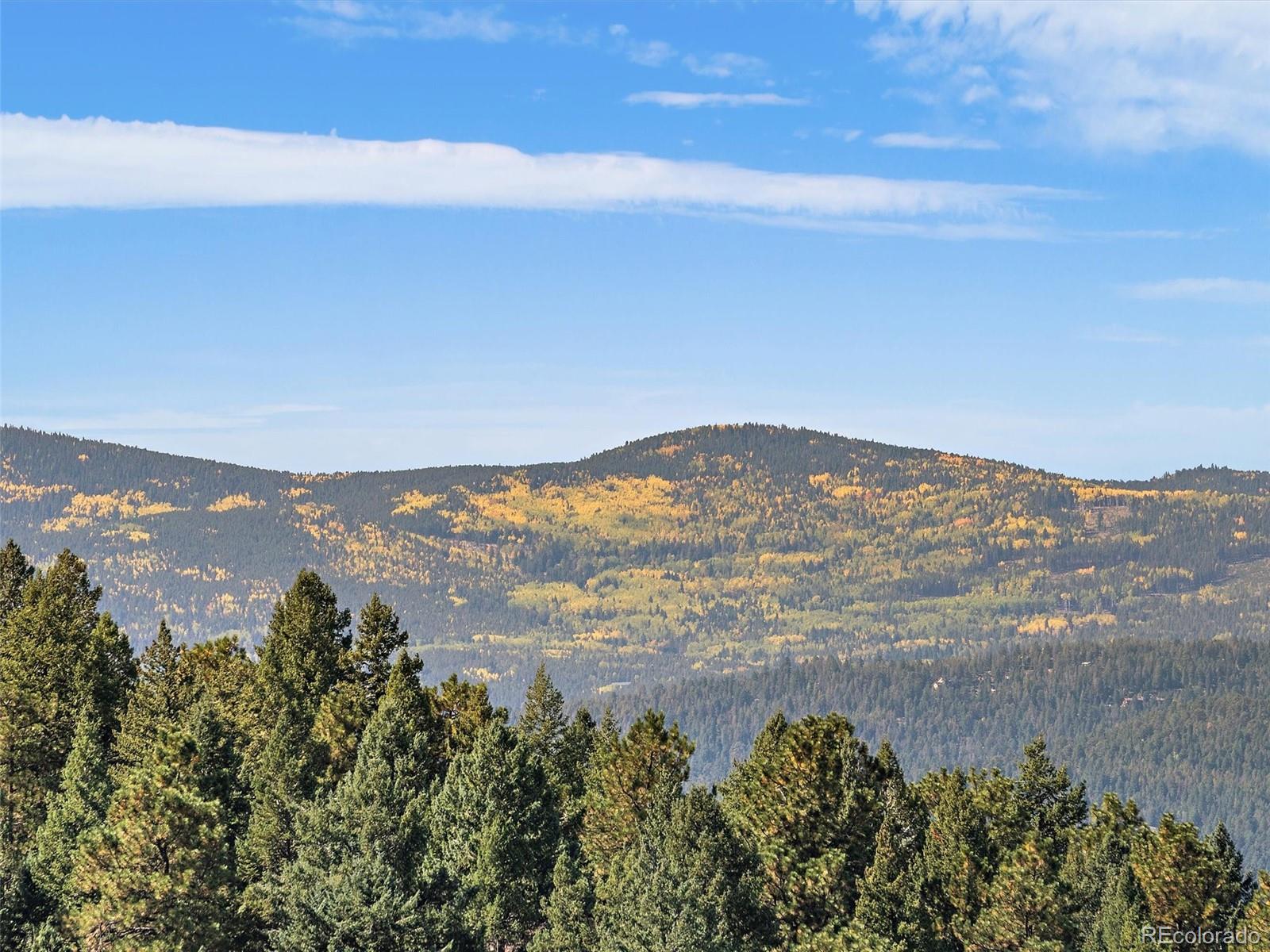 MLS Image #22 for 26959  wild flower trail,evergreen, Colorado