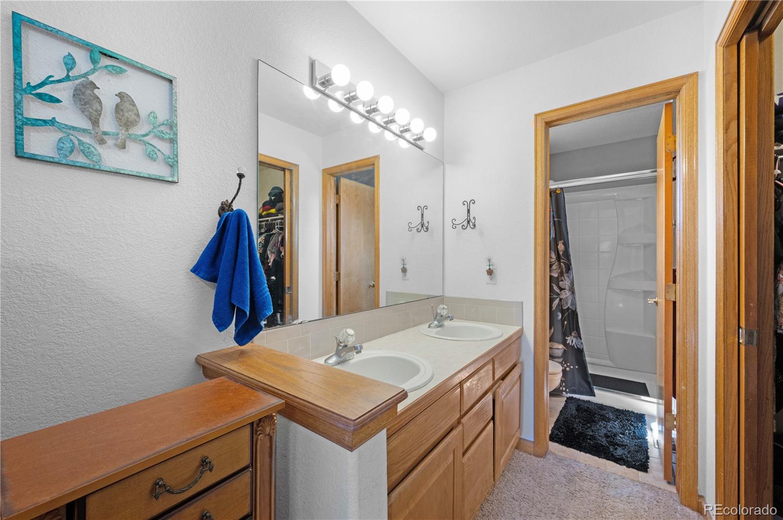 MLS Image #19 for 2766  serena drive,mead, Colorado