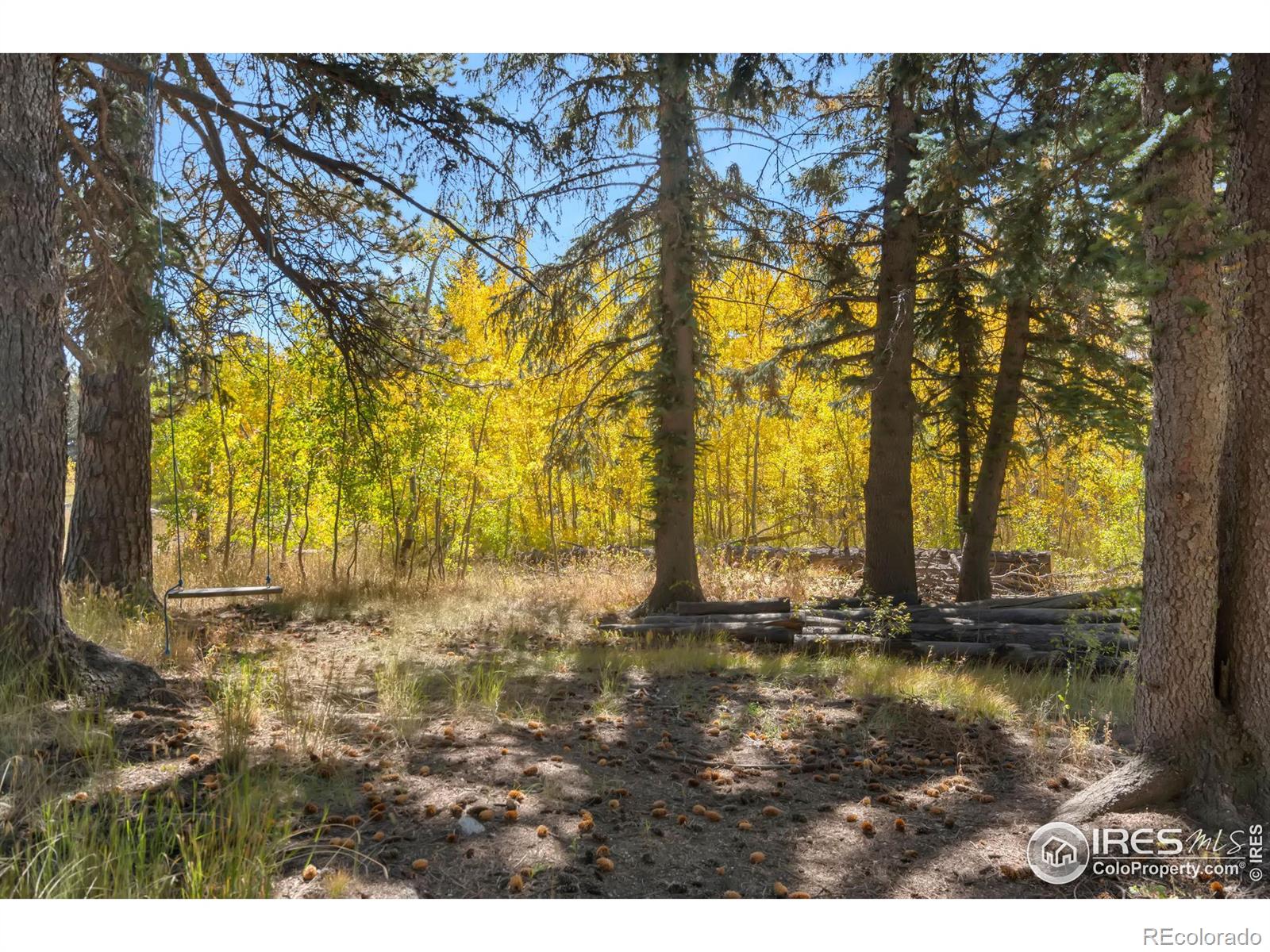 MLS Image #20 for 15  pine forest way,drake, Colorado