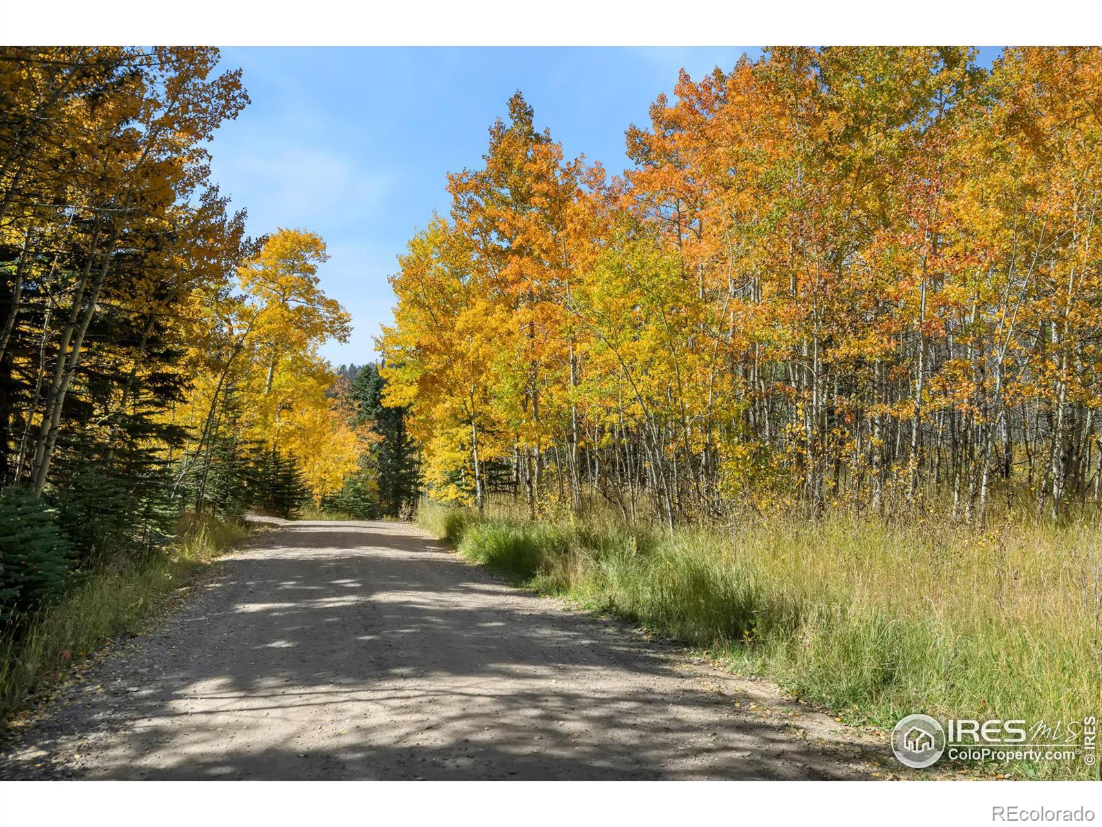 MLS Image #22 for 15  pine forest way,drake, Colorado