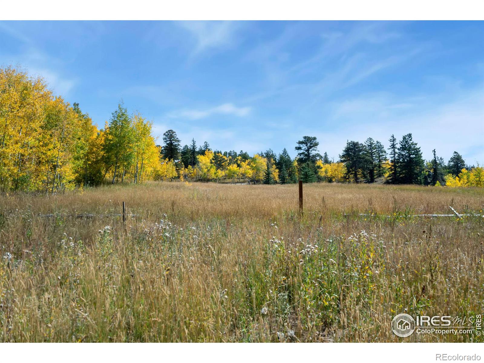 MLS Image #25 for 15  pine forest way,drake, Colorado