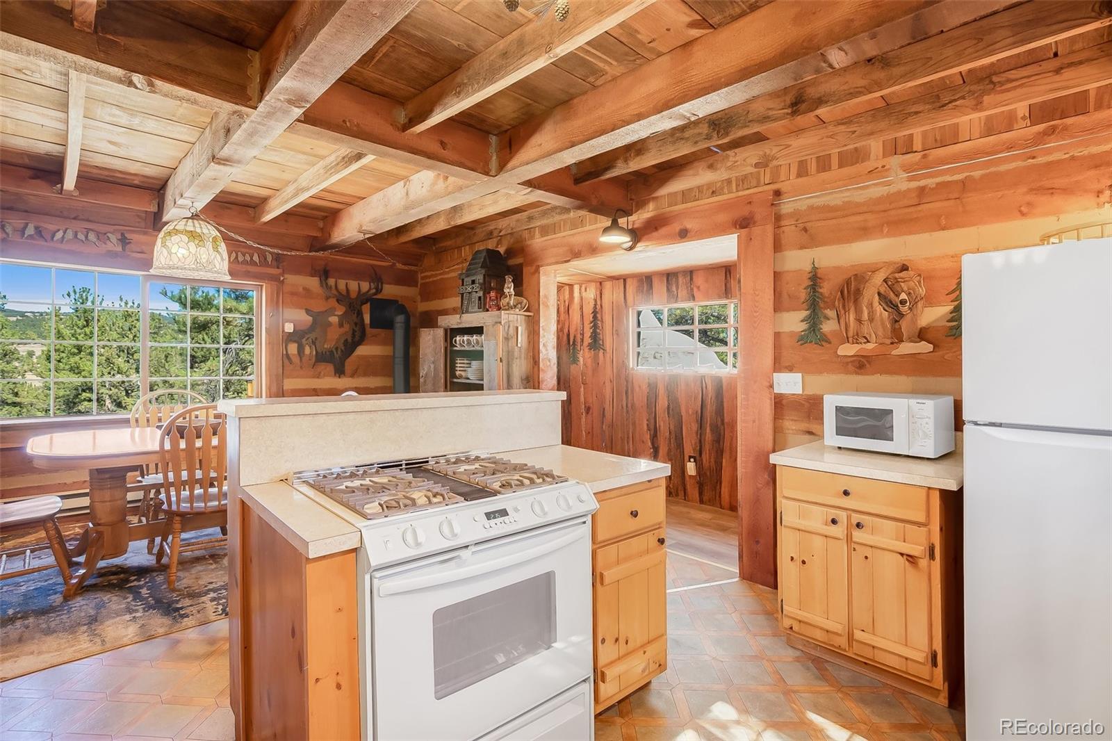 MLS Image #11 for 551  forest glen trail,florissant, Colorado