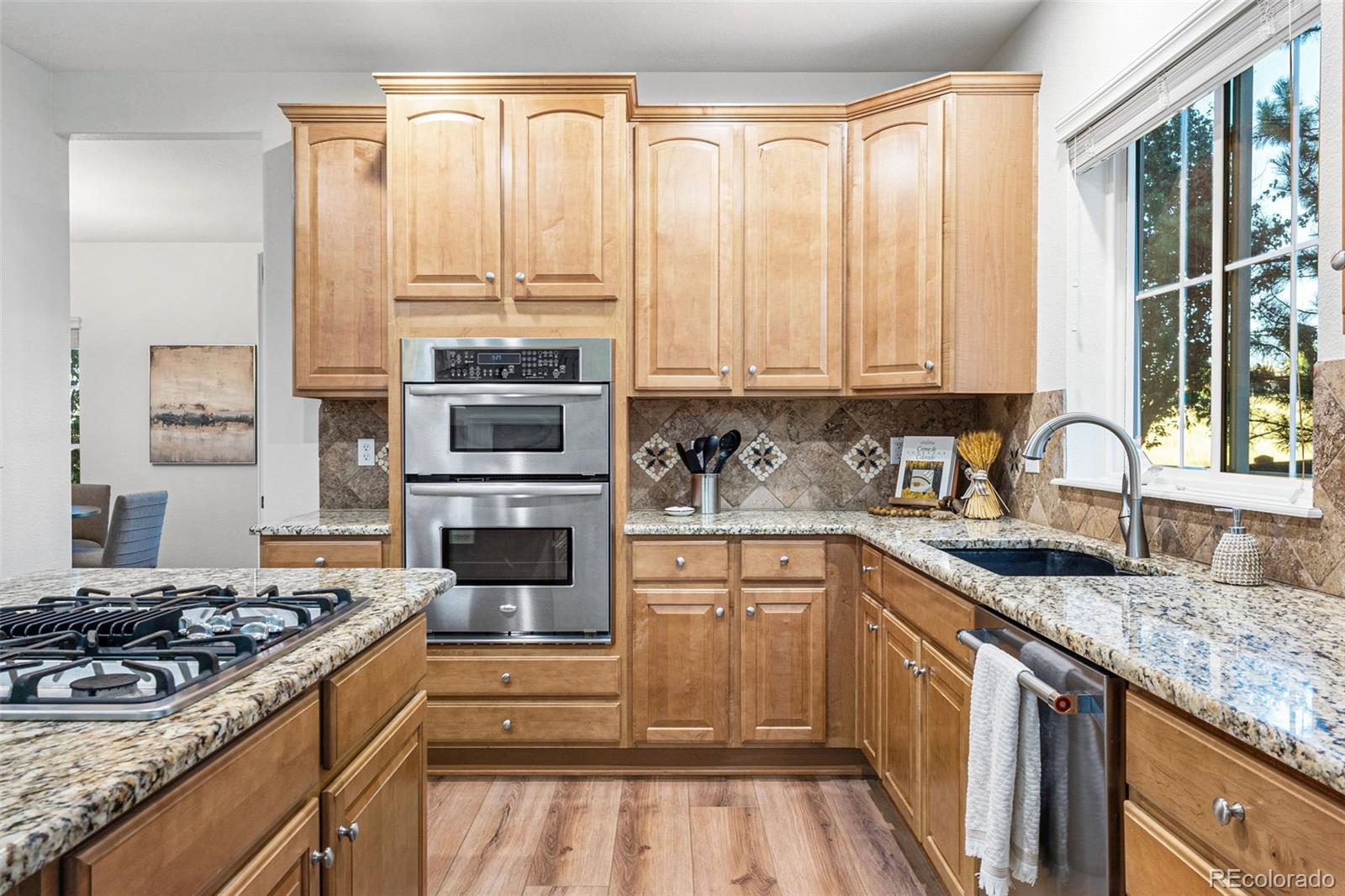 MLS Image #19 for 4478  arches place,castle rock, Colorado