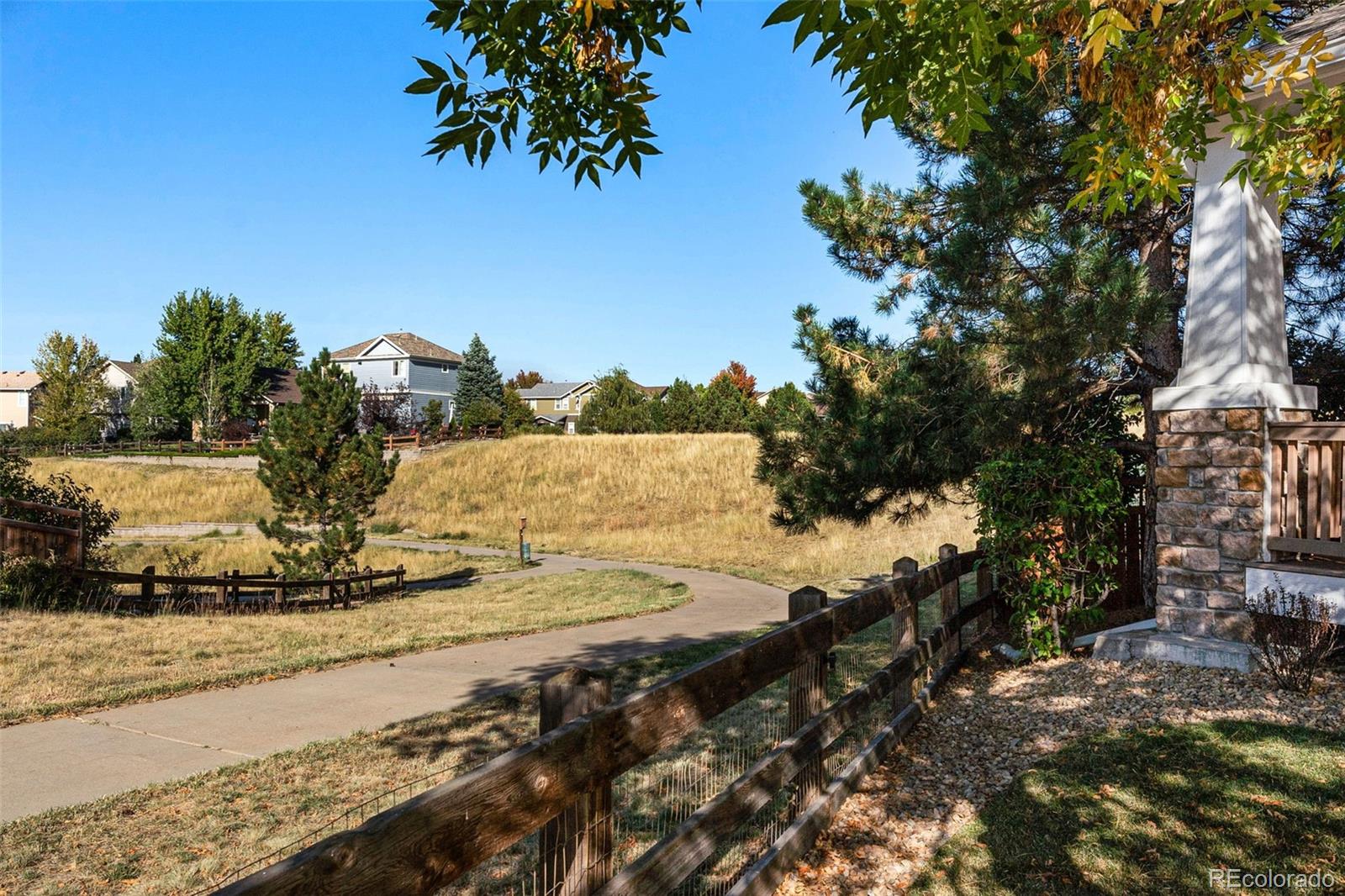 MLS Image #3 for 4478  arches place,castle rock, Colorado