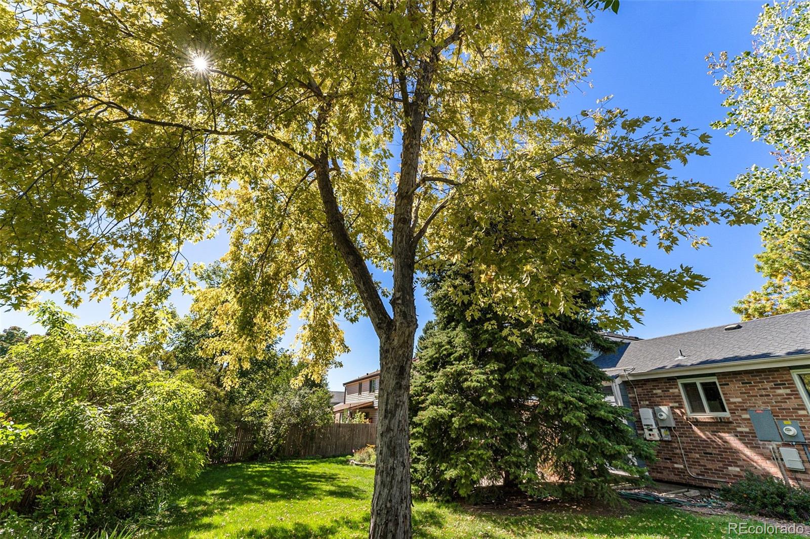 MLS Image #34 for 8290  garland drive,arvada, Colorado