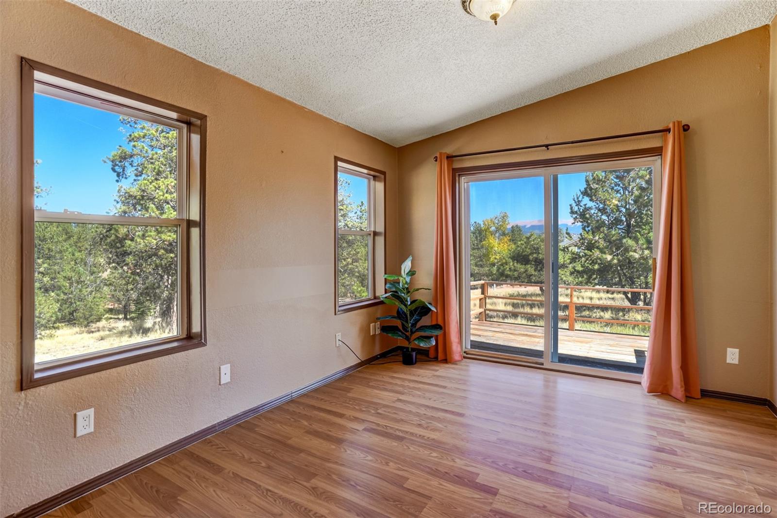 MLS Image #20 for 51  black mesa circle,florissant, Colorado