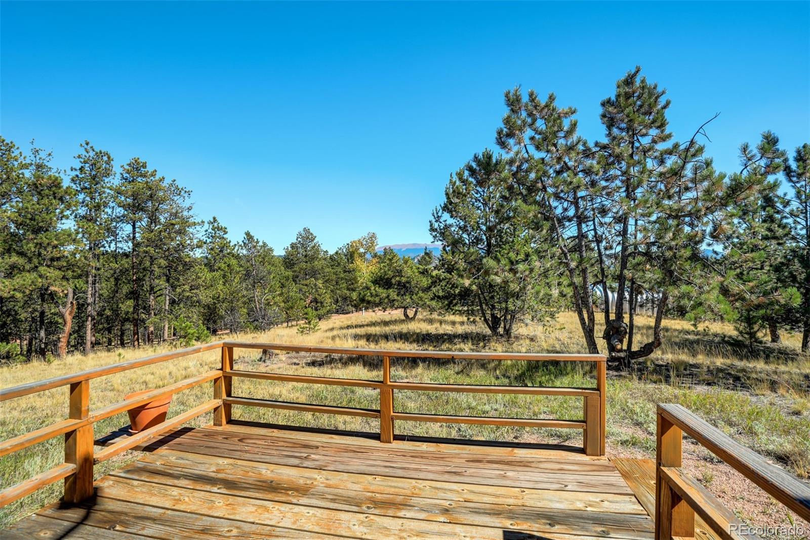 MLS Image #21 for 51  black mesa circle,florissant, Colorado