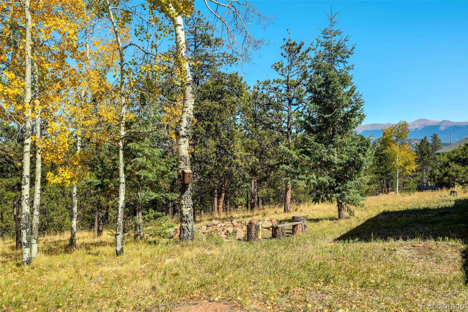 MLS Image #37 for 51  black mesa circle,florissant, Colorado