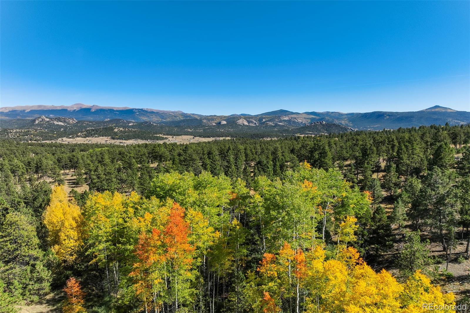 MLS Image #44 for 51  black mesa circle,florissant, Colorado