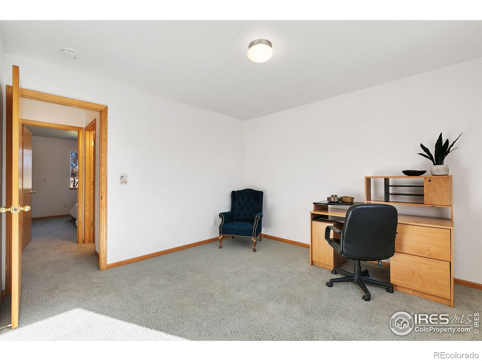 MLS Image #19 for 8564  citation drive,wellington, Colorado