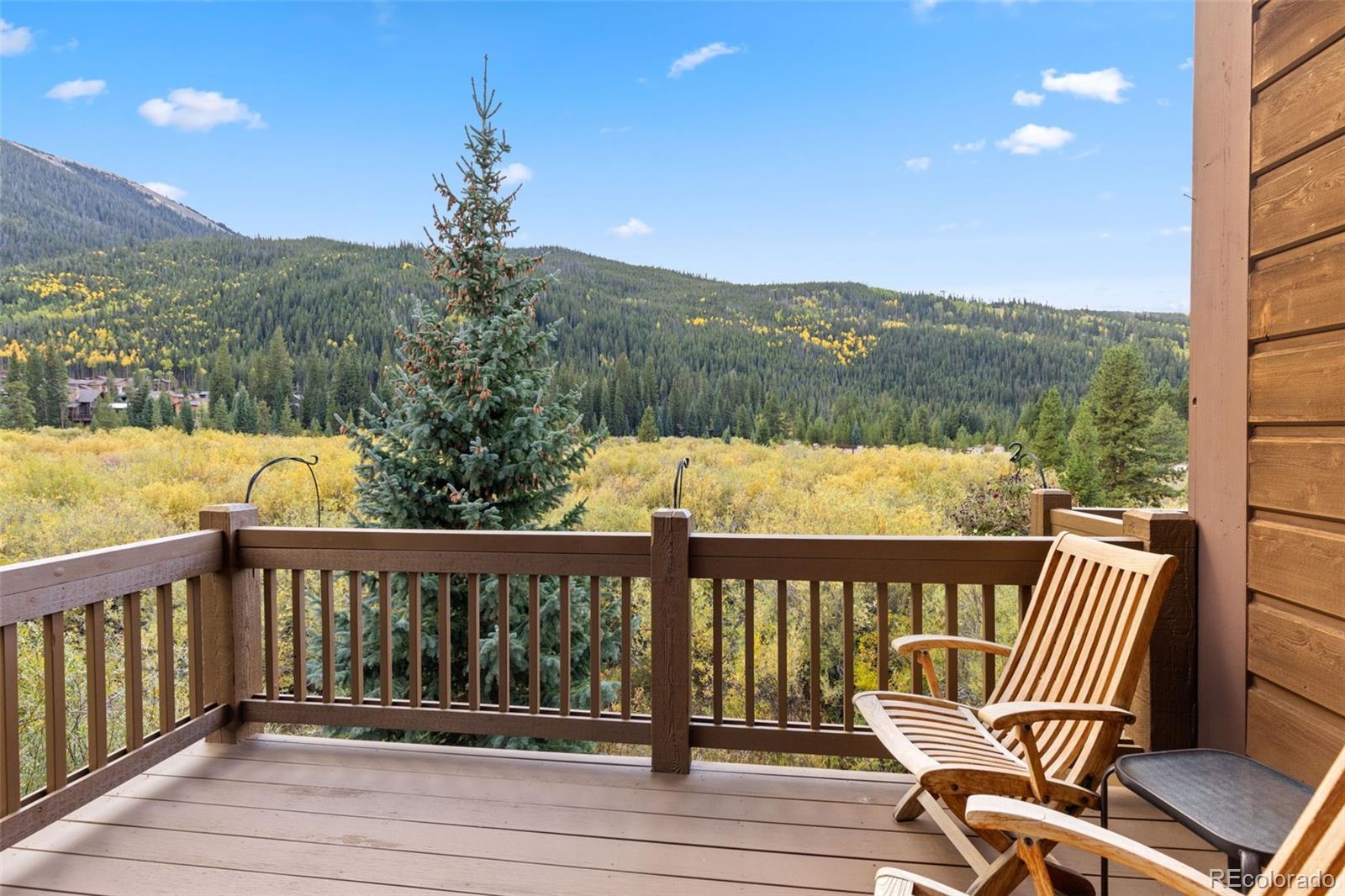 MLS Image #27 for 44  thackwell lane,keystone, Colorado