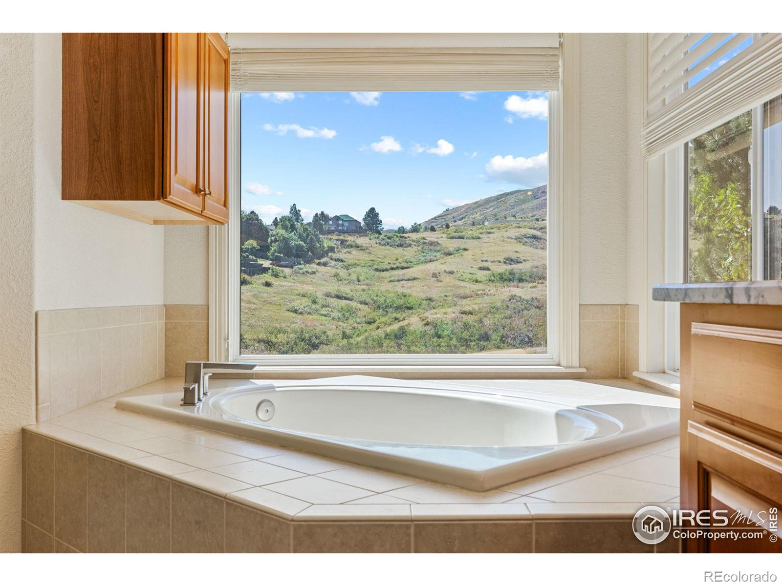 MLS Image #19 for 576  eagle nest court,golden, Colorado