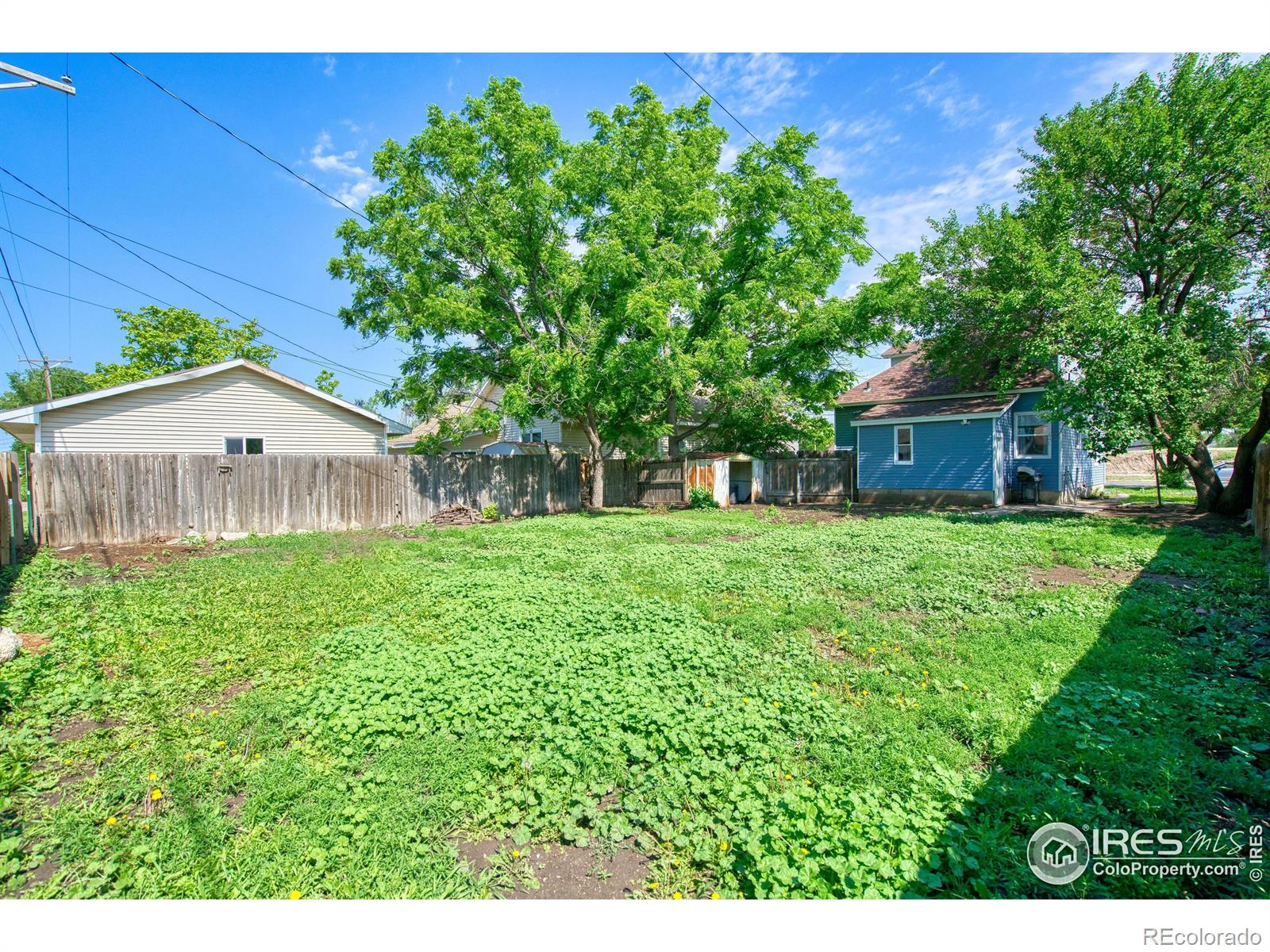 MLS Image #22 for 423  phelps street,sterling, Colorado