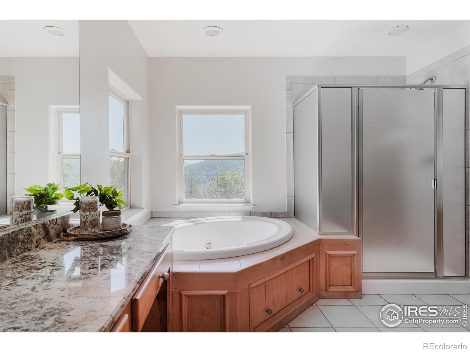 MLS Image #19 for 3105  dandy lion lane,evergreen, Colorado