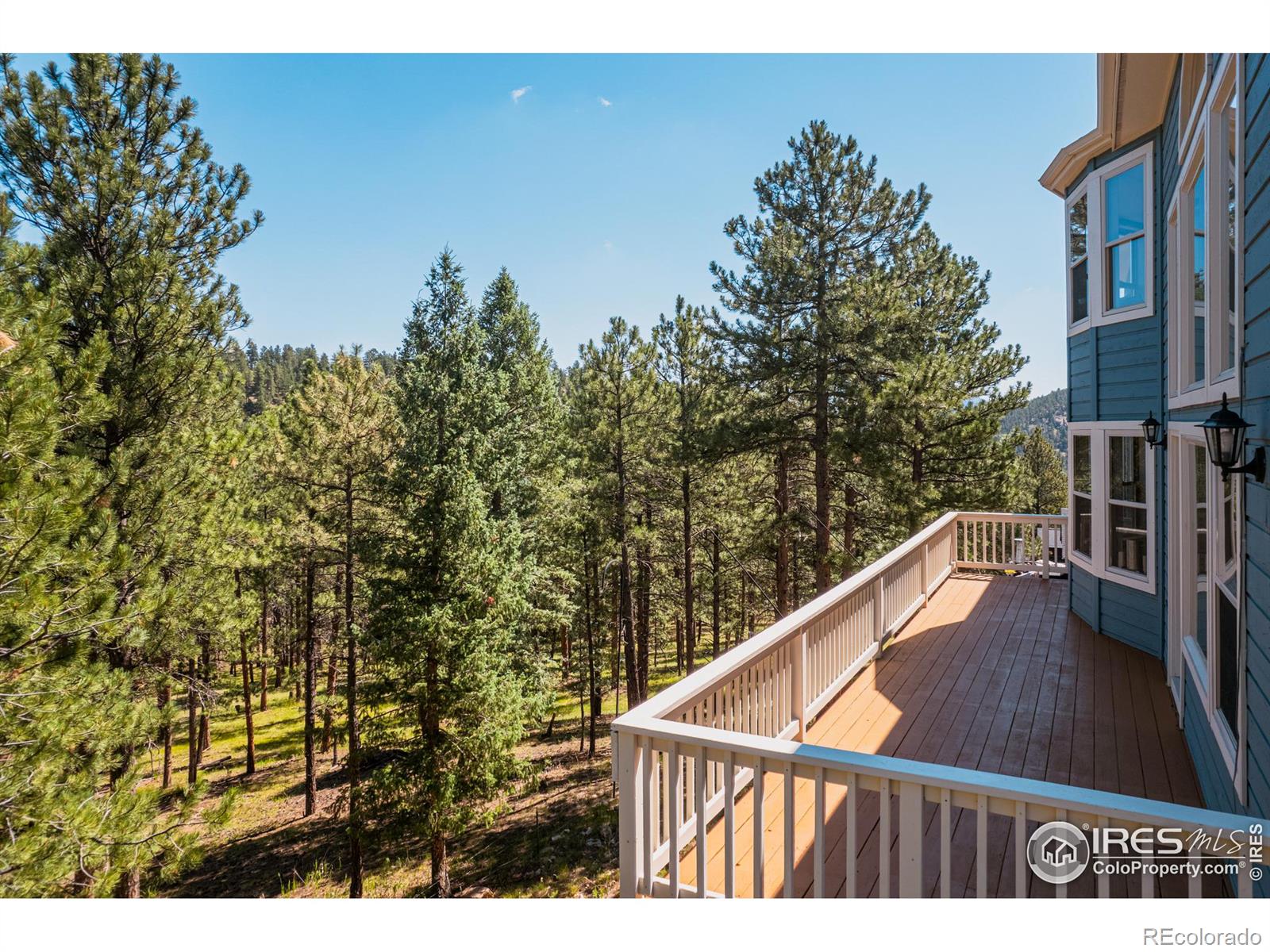 MLS Image #34 for 3105  dandy lion lane,evergreen, Colorado