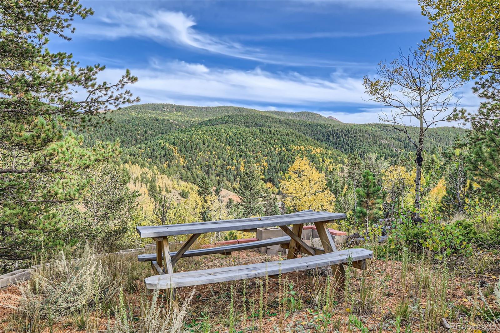 MLS Image #4 for 20909  state highway 67 ,divide, Colorado