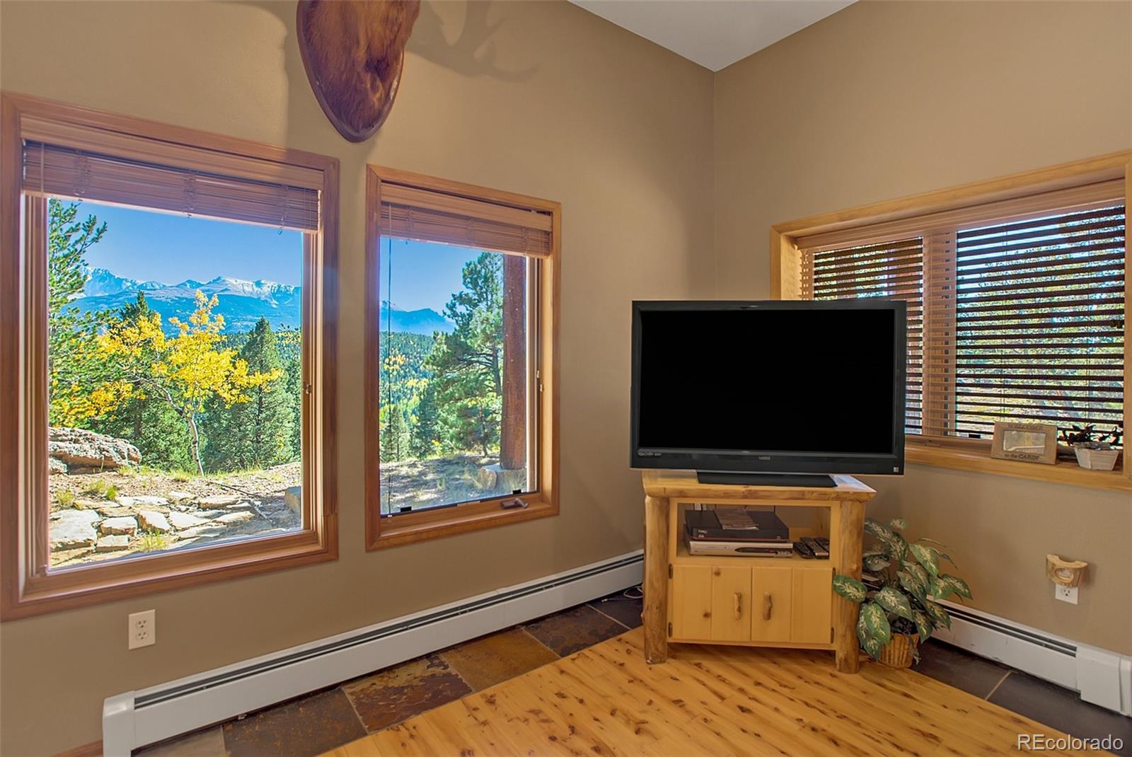 MLS Image #35 for 1200  arapahoe street,woodland park, Colorado