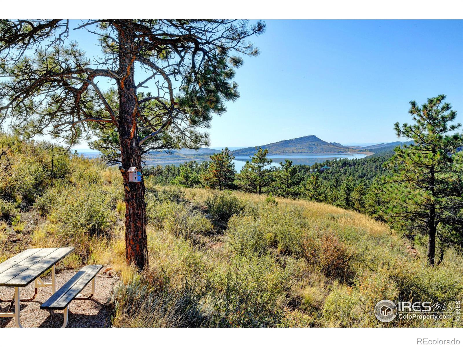 MLS Image #2 for 3530  rainbow lane,loveland, Colorado