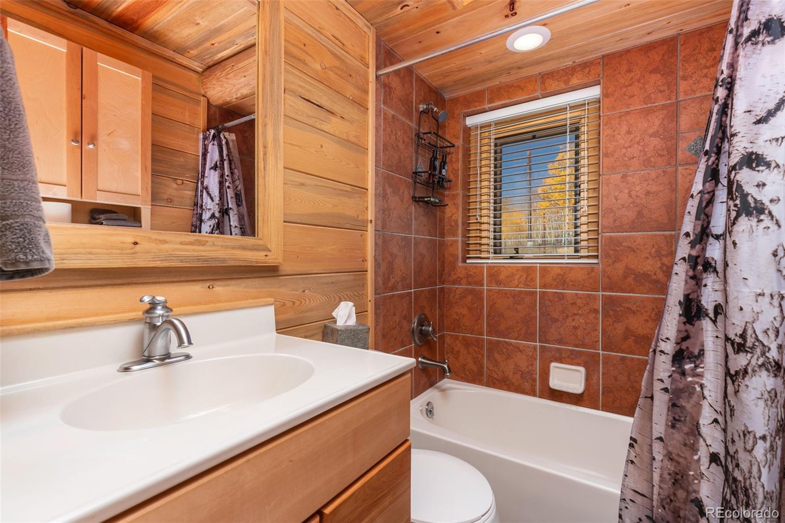 MLS Image #17 for 1052  boreas circle,jefferson, Colorado