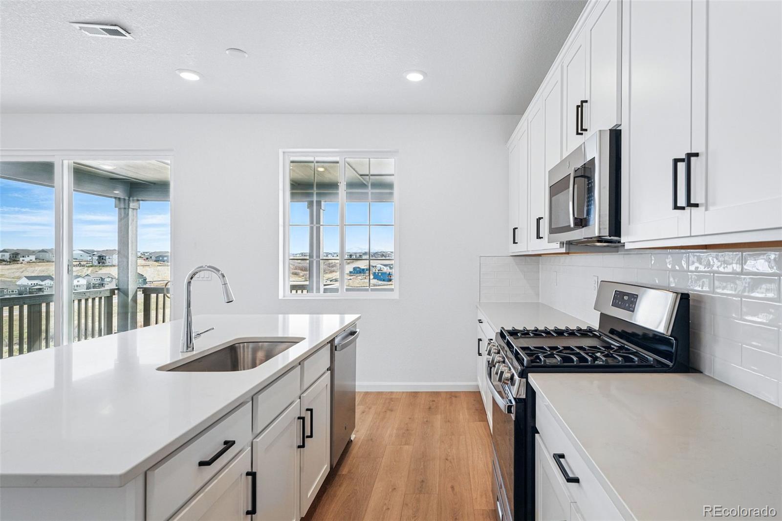 MLS Image #14 for 4201  ridgewalk point,castle rock, Colorado