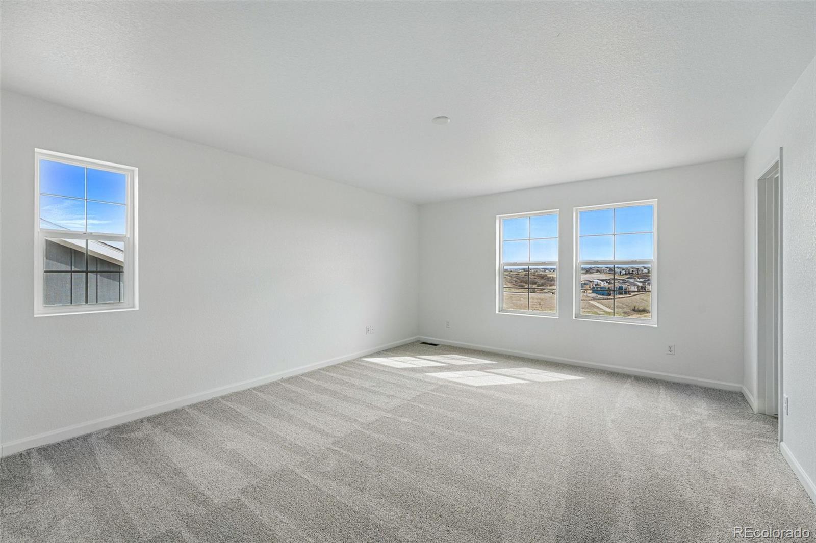MLS Image #18 for 4201  ridgewalk point,castle rock, Colorado