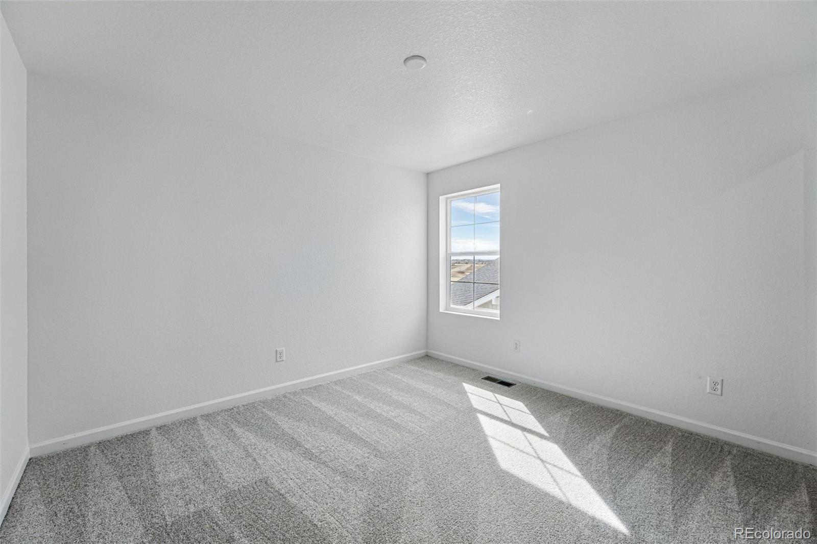 MLS Image #21 for 4201  ridgewalk point,castle rock, Colorado