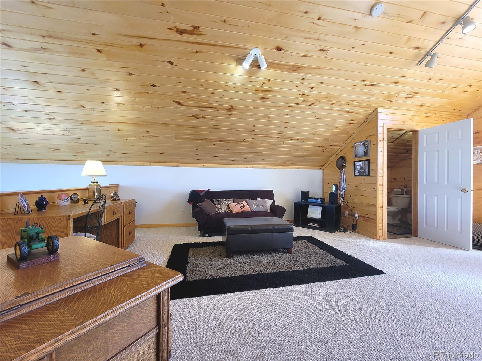 MLS Image #21 for 19398  eastridge trail,san luis, Colorado