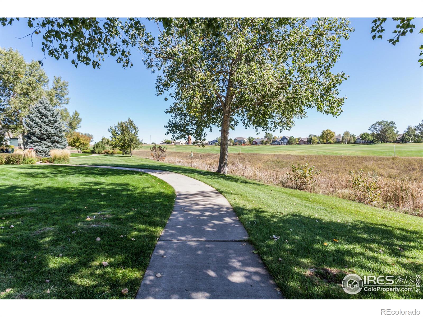 MLS Image #36 for 2328  calais drive,longmont, Colorado