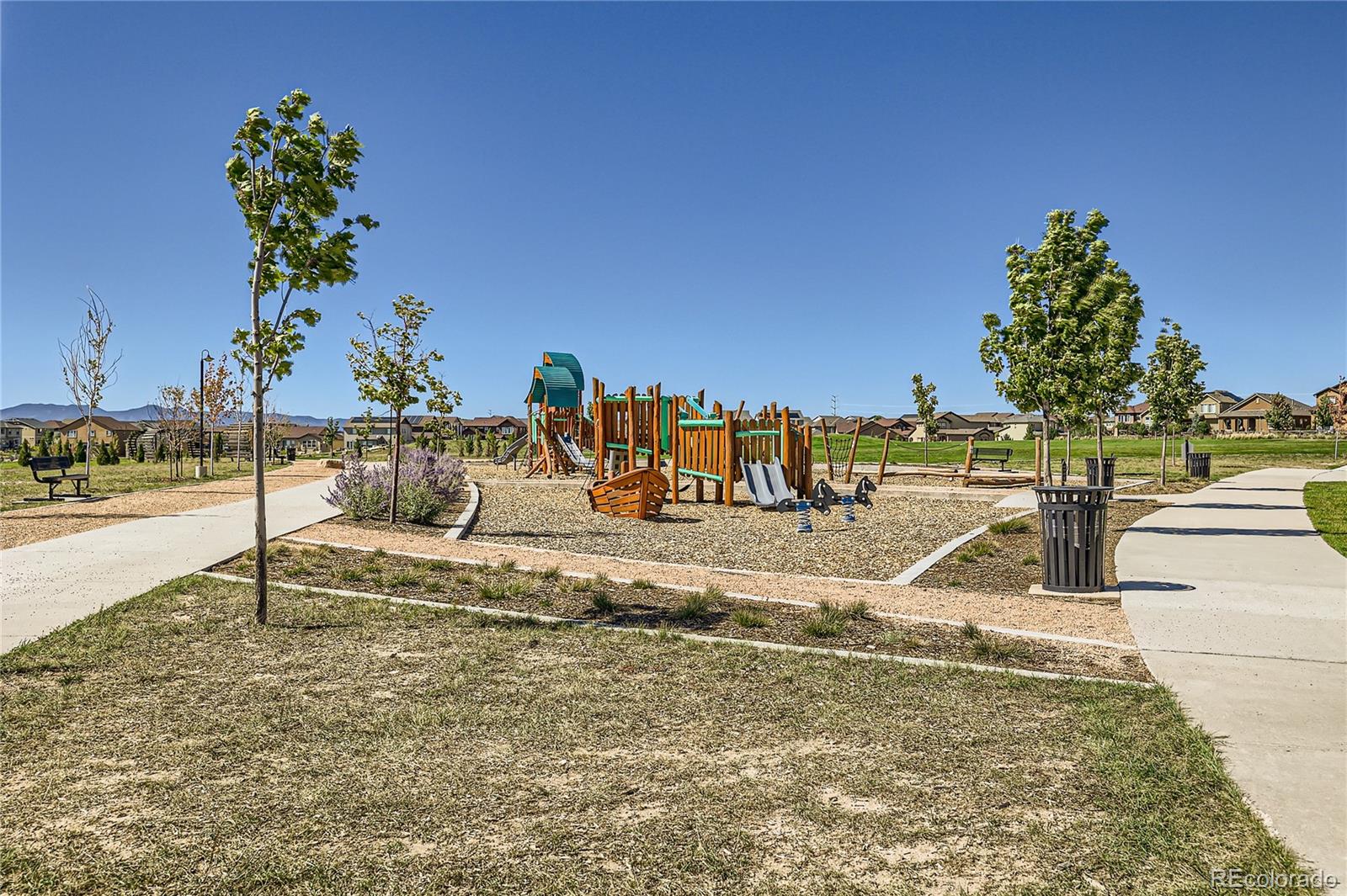 MLS Image #26 for 6737  thicket pass lane,colorado springs, Colorado