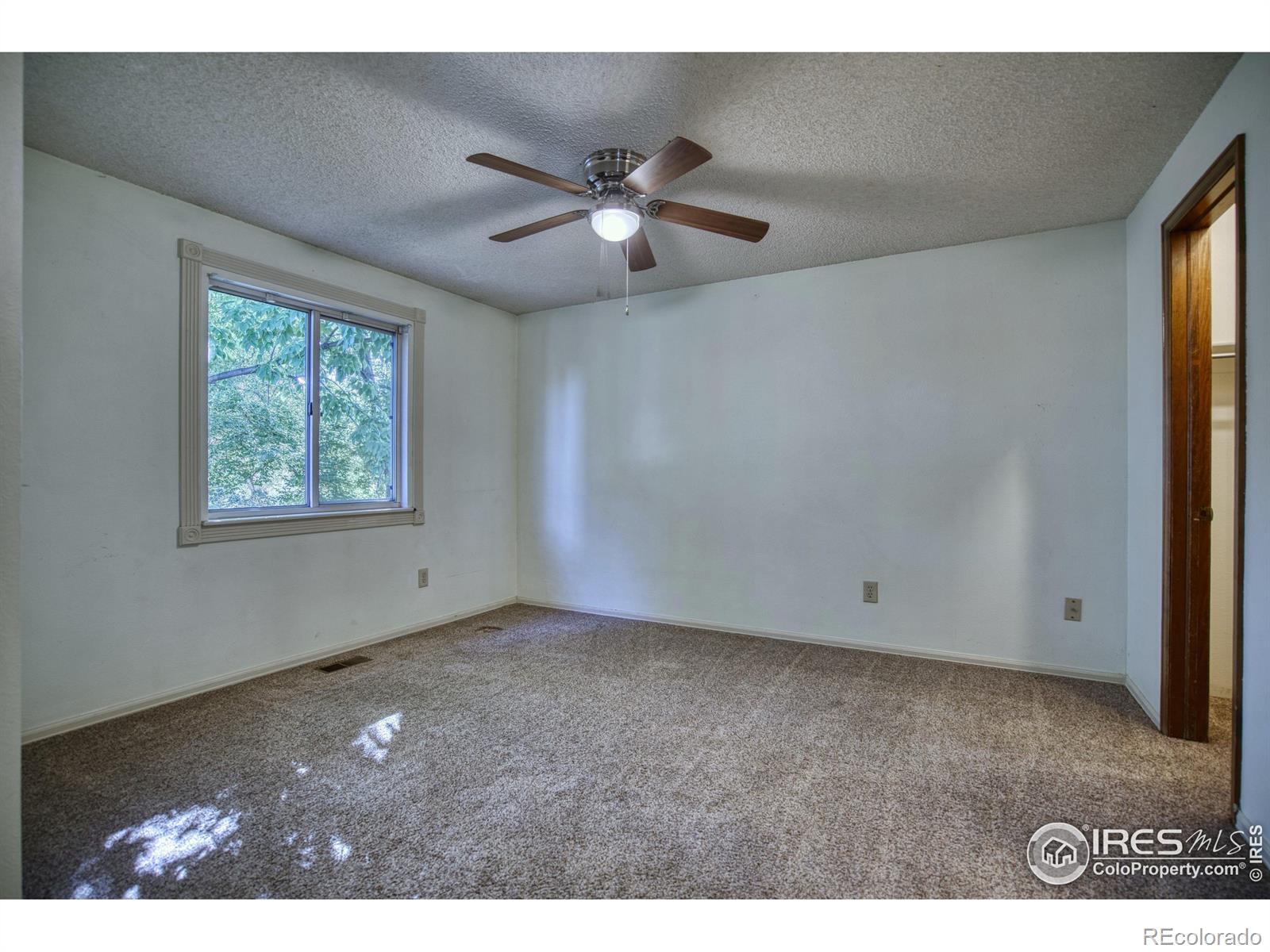 MLS Image #15 for 3100  sweeney street,fort collins, Colorado