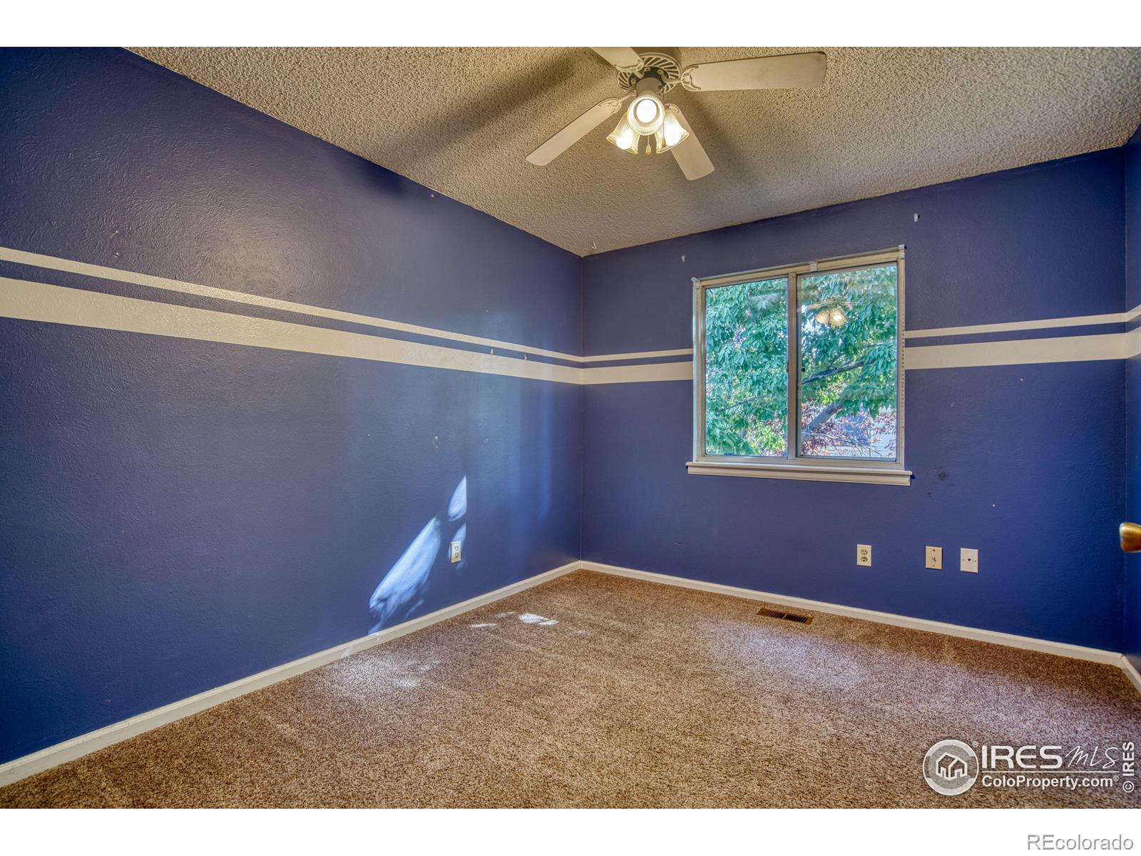 MLS Image #18 for 3100  sweeney street,fort collins, Colorado