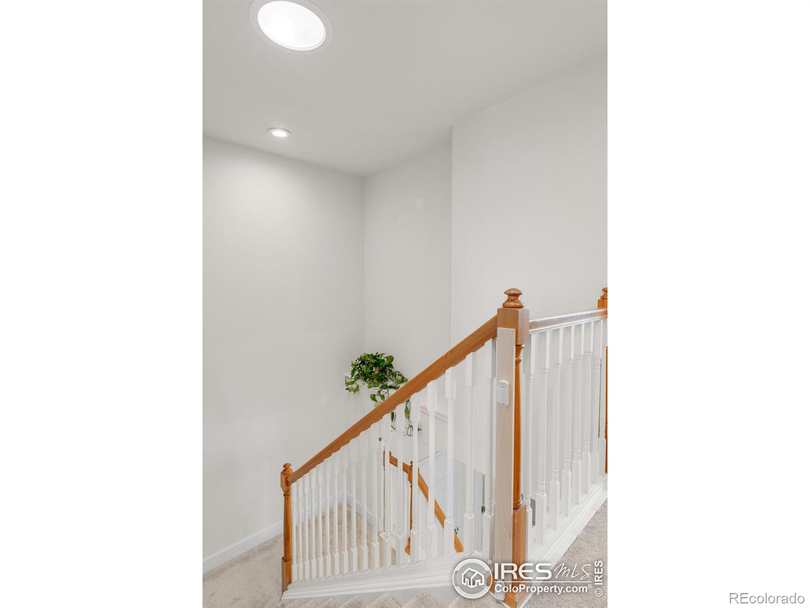 MLS Image #18 for 4232  riley drive,longmont, Colorado