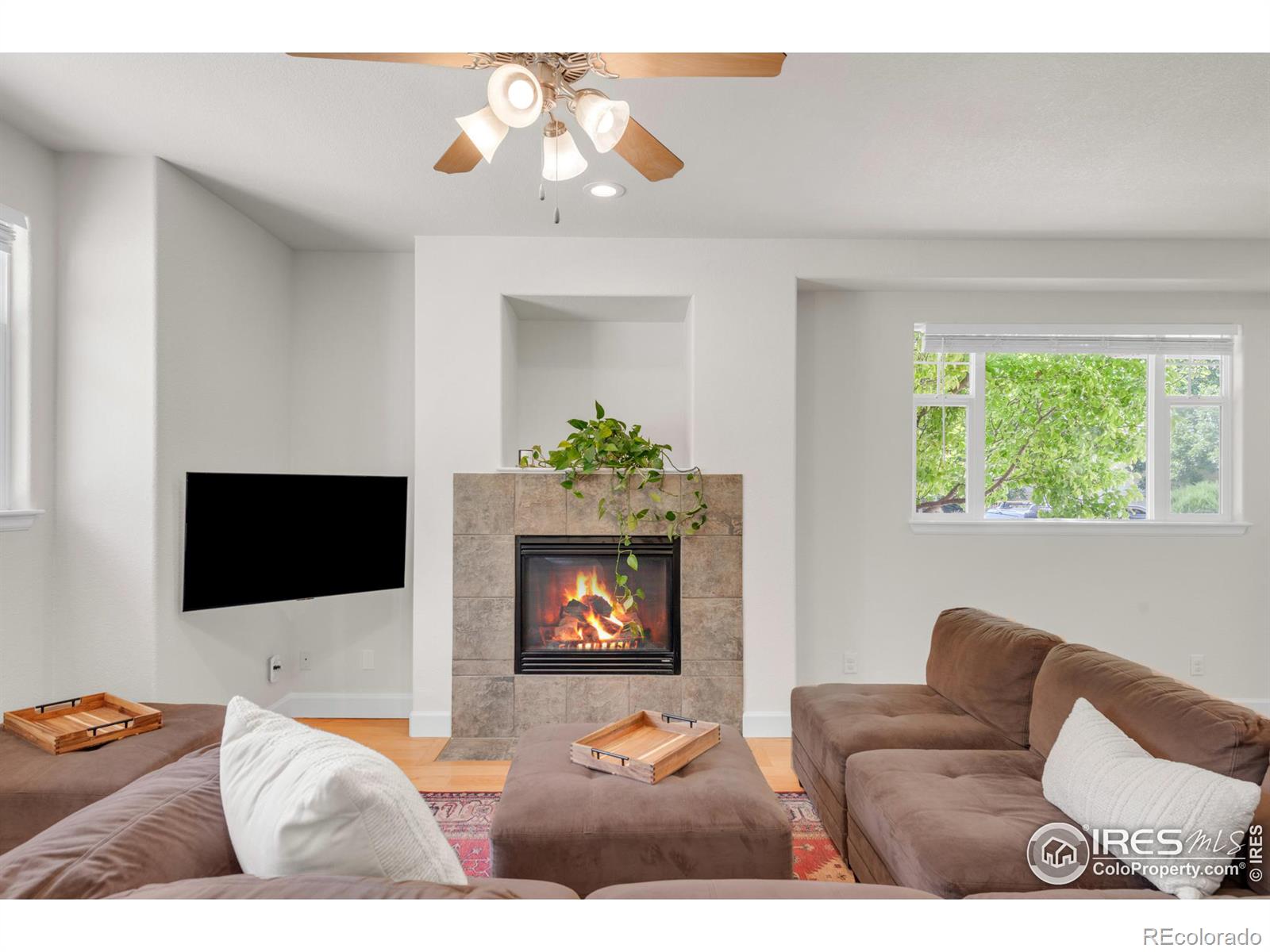 MLS Image #4 for 4232  riley drive,longmont, Colorado