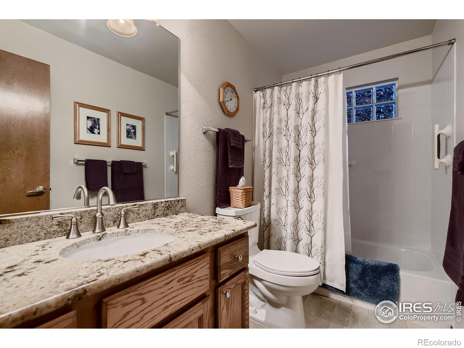 MLS Image #13 for 6588 s iris street,littleton, Colorado