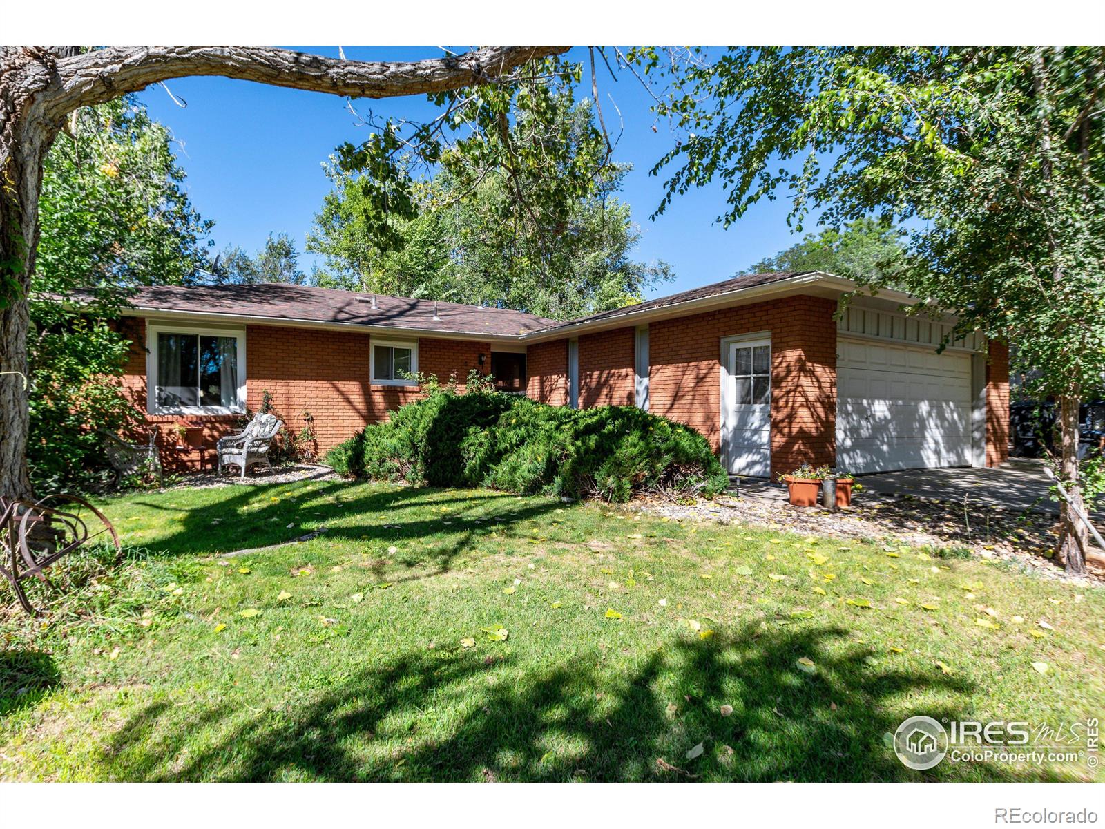 MLS Image #0 for 23  durian court,longmont, Colorado