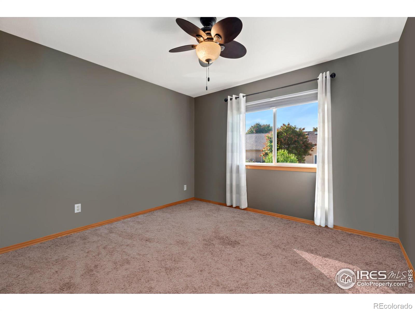 MLS Image #12 for 4603  chokecherry trail,fort collins, Colorado