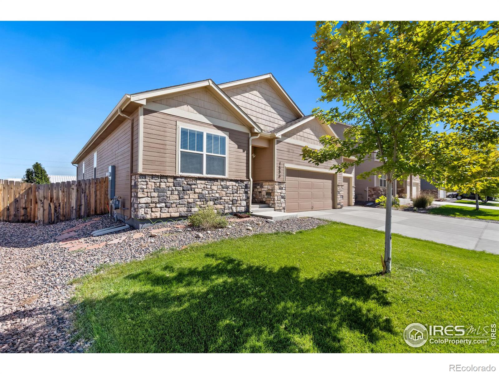 MLS Image #2 for 1556  highfield drive,windsor, Colorado