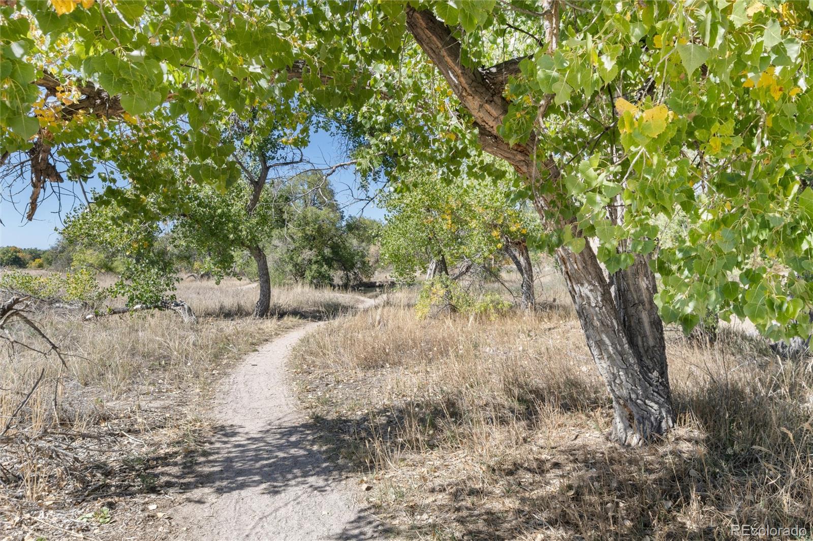 MLS Image #43 for 10000 e yale avenue,denver, Colorado