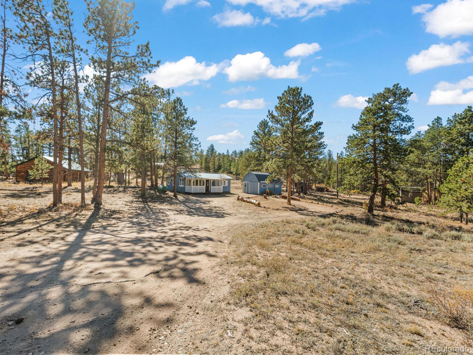 MLS Image #2 for 81  rain dance court,red feather lakes, Colorado