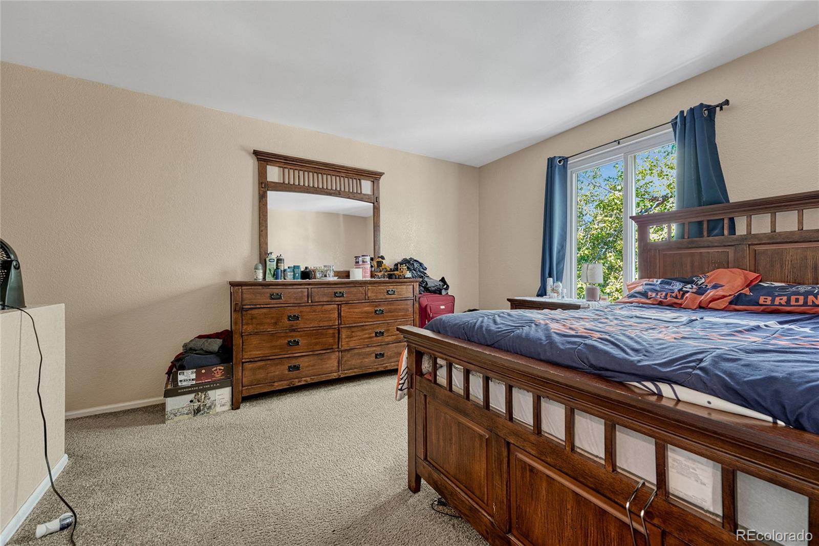 MLS Image #10 for 4521  del rio court,denver, Colorado