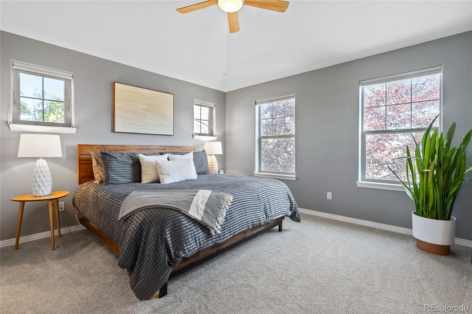 MLS Image #16 for 9169 e 29th place,denver, Colorado