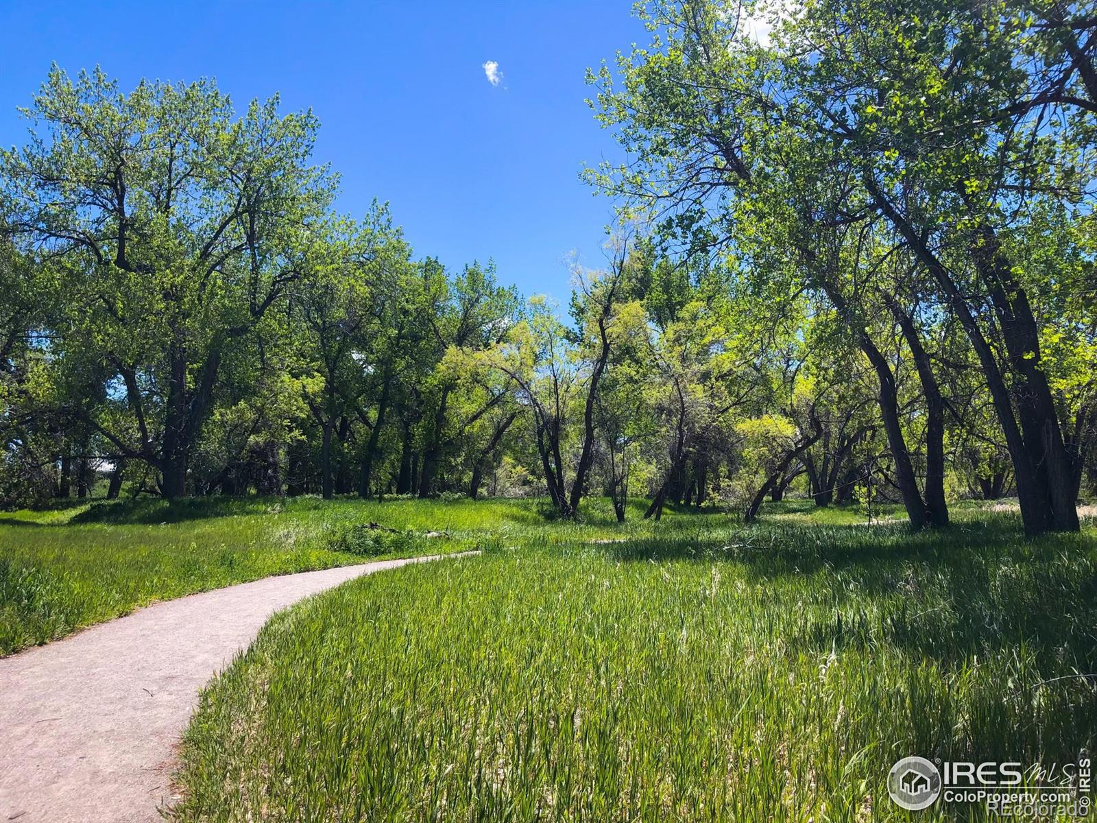 MLS Image #32 for 8283 s olathe court,englewood, Colorado