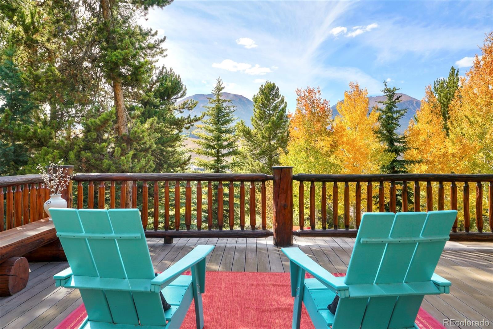 MLS Image #10 for 360  hummingbird circle,silverthorne, Colorado