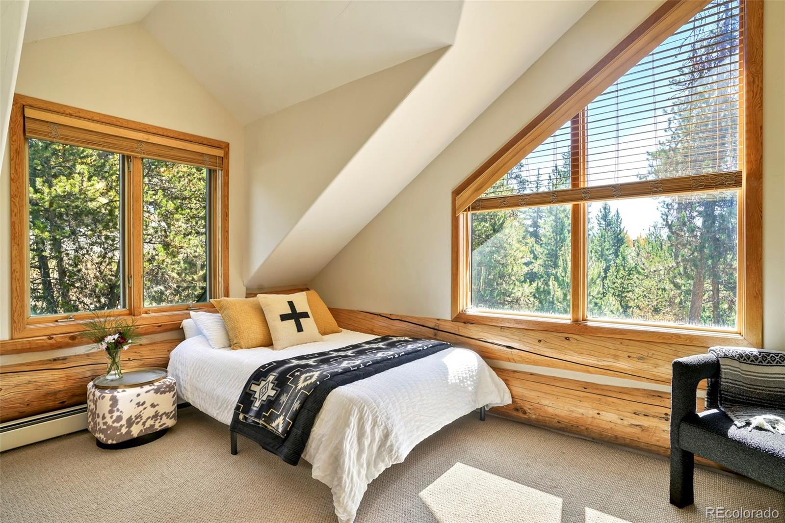 MLS Image #21 for 360  hummingbird circle,silverthorne, Colorado